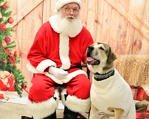 Santapic11